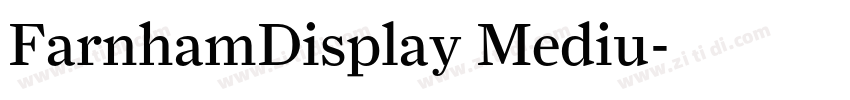 FarnhamDisplay Mediu字体转换 FarnhamDisplay Mediu字体转换
